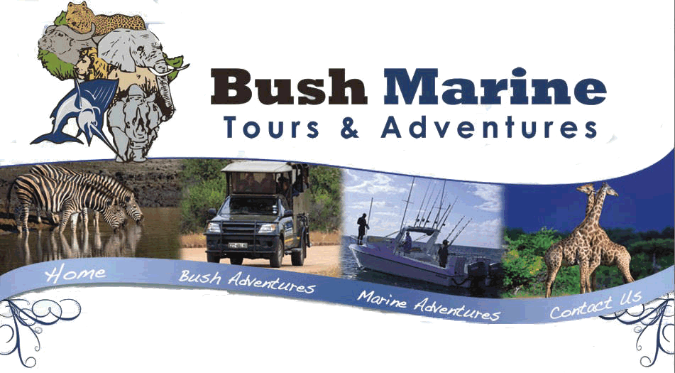 Bush Marine Tours