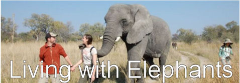 Living with Elephant